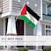 ANLEY Fly Breeze 3x5 Foot Palestine Flag Vivid Color and Fade proof Canvas Header and Double Stitched Palestinian Flags Polyester with Brass Grommets 3 X 5 Ft