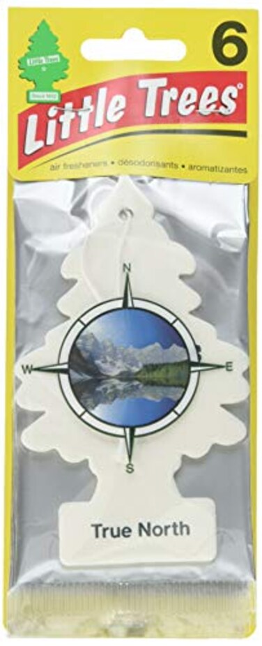 Little Trees Car Air Freshener 6Pack True North