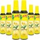 LITTLE TREES Car Air Freshener Spray Provides a LongLasting Scent for Auto or Home Onthego Freshness Vanillaroma 6 Air Fresheners