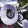 Yontree Fashion Fluffy Steering Wheel Covers for WomenGirlsLadies Australia Pure Wool 15 Inch 1 Set 3 Pcs Gray