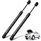 BDFHYK Front Hood Lift Supports Struts Compatible with F150 F150 Heritage 2004 F250 Expedition Rust Resistant 4478 Hood Struts Lift gate Strut Gas Spring 2 PCS