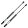 QiMox Qty 2 Liftgate Struts Lift Supports Shocks Compatible with Hyundai Santa Fe 20072012