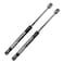 BOXI Qty2 Trunk Lift Supports Struts Shocks Fit for Mazda MX5 Miata 2005 2006 2007 2008 2009 2010 2011 2012 2013 2014 2015 Convertible 2Door Trunk with Retractable Hardtop