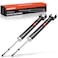 A-Premium APremium Rear Pair 2 Shock Absorber Compatible with Nissan Altima 20072018 Maxima 20092014 Driver and Passenger Side