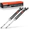 A-Premium APremium Rear Pair 2 Shock Absorber Compatible with Nissan Altima 20072018 Maxima 20092014 Driver and Passenger Side
