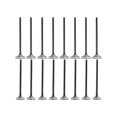 DNJ VK16295 Exhaust Intake Valve Kit for 19922005 Honda Civic Civic del Sol 16L17L L4 16V SOHC 1588cc