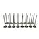 Mievlyo Engine Intake and Exhaust Valves Kits For Chevy Equinox GMC Terrain 20072017 for Buick Lacrosse Regal 20 24L Engine Replace 12596034 12615936 24434464 24454518