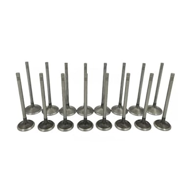 Mievlyo Engine Intake and Exhaust Valves Kits For Chevy Equinox GMC Terrain 20072017 for Buick Lacrosse Regal 20 24L Engine Replace 12596034 12615936 24434464 24454518