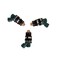 SouthMarine Boat Engine 1571087J00 1571087J00 Fuel Injector for Suzuki DF40 DF50 19992010 Outboard Motor 40HP 50HP 3 pcs