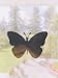 The Decal Empire Retractable Screen Door Decals 5 per Package Keep Children Safe Alert Birds Dogs Kids Warn Protect Window Safety Butterflies White