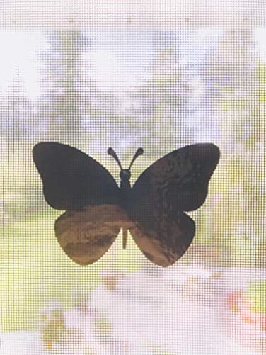 The Decal Empire Retractable Screen Door Decals 5 per Package Keep Children Safe Alert Birds Dogs Kids Warn Protect Window Safety Butterflies White