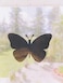 The Decal Empire Retractable Screen Door Decals 5 per Package Keep Children Safe Alert Birds Dogs Kids Warn Protect Window Safety Butterflies White