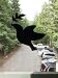 The Decal Empire Retractable Screen Door Decals 5 per Package Keep Children Safe Alert Birds Dogs Kids Warn Protect Window Safety Doves Black