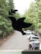 The Decal Empire Retractable Screen Door Decals 5 per Package Keep Children Safe Alert Birds Dogs Kids Warn Protect Window Safety Doves Black
