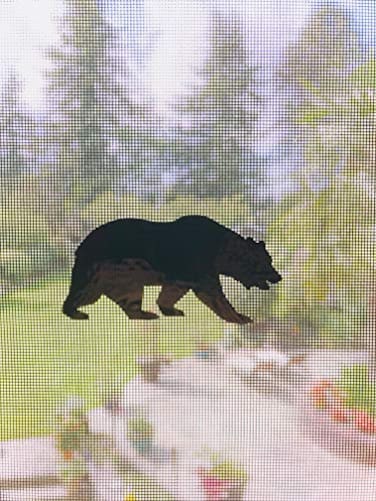 The Decal Empire Retractable Screen Door Decals 5 per Package Keep Children Safe Alert Birds Dogs Kids Warn Protect Window Safety Bears Black