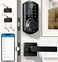 Veise VE06L Smart Locks with 2 Lever Handle Set App Control Keyless Entry Deadbolt for Front Door Electronic Digital Touchscreen Keypad Auto Lock Waterproof Easy Installation Matte Black