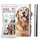 Gate Shut Automatic Chain Link Self Closing gate Closer Adjustable Closing Tension Outdoor Gate Spring Works Great for Pool and Dog Gates or Any Chainlink gate Made in USA
