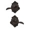 SCHLAGE Accent Lever with Brookshire Trim Keyed Entry Lock in Aged Bronze F51A ACC 716 BRK