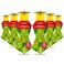Catchmaster Japanese Beetle Traps wRainProof Cap 6Pack Dual Lure Beetle Bag Trap Hanging Beetle Catcher Pest Control for Backyard Garden Plants Trees Vegetables Flowers