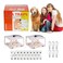 BCIBhucy Flea Trap 2 Pack Flea Light Trap Indoor with 8 Glue Discs 6 Light Bulbs Pest Control Natural Insect Trap NonToxic Odorless Safe for Family Pearl White