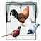 DSQSTMR Bird Trap Pigeon Quail Live Animal Control Spring Starling Chicken Snares for Trapping