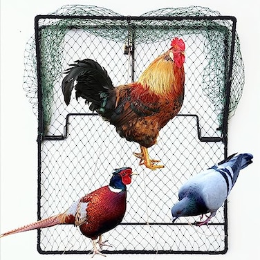 DSQSTMR Bird Trap Pigeon Quail Live Animal Control Spring Starling Chicken Snares for Trapping