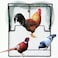 DSQSTMR Bird Trap Pigeon Quail Live Animal Control Spring Starling Chicken Snares for Trapping