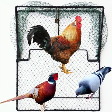 DSQSTMR Pigeon Bird Trap Trapping Chicken Quail 2 Pack Spring Starling Catching Net Traps