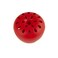 Terro T25033 Fruit Fly Trap