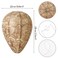 DECYOOL 4 Pack Paper Wasp Nest Decoy Hanging Wasp Nest Stay Away from Wasps Hornets Yellow JacketsBrown