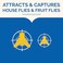 Hot Shot Flying Insect Trap Discreet HassleFree Trap Attracts Captures House and Fruit Flies 247 Continuous Attraction No Plugin Or Electricity Needed 6 Count 984ml Each