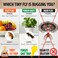 Super Ninja Fruit Fly Traps for Indoors 6 Pack Highly Effective Fruit Fly Catcher for Indoor Use for Home Kitchen Up to 3 Weeks of Performance per Bottle Kid Pet Friendly