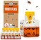 Super Ninja Fruit Fly Traps for Indoors 6 Pack Highly Effective Fruit Fly Catcher for Indoor Use for Home Kitchen Up to 3 Weeks of Performance per Bottle Kid Pet Friendly