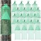 Qualirey 8 Pack Spotted Lanternfly Traps Lantern Fly Killer Mesh Tree Trap with Jute Rope and Nails Effective Way to Catch Lantern Flies and Nymphs Green