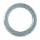 iledlight T9 LED Circline Light Bulb 8 Inch 1600LM LED Circular Light 13W Clear Cover 6000K Daylight Replacement for FC8T9CW 22Watt Fluorescent Circular BulbFC8T9CW Ballast Bypass Required