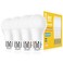 Neporal Full Spectrum Light Bulb 6000K Natural Sunlight Bulbs 9W 60W Equivalent LED Light Bulb Natural Light Bulbs A19 E26E27 4 Pack
