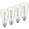 Gozelux LED Edison Bulbs 60W Equivalent ST19 Efficient 6W LED E26 Medium Base Light Bulbs High Brightness 750 Lumens 5000K Daylight Clear Pack of 4