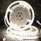 PAUTIX COB LED Strip Neon Rope Light 164ft5m 4000K White 504 LEDsm 24VSilicone LED Neon Light IP68 Waterproof for Outdoor Indoor Lighting DecorPower Supply NOT Included