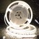 PAUTIX COB LED Strip Neon Rope Light 164ft5m 4000K White 504 LEDsm 24VSilicone LED Neon Light IP68 Waterproof for Outdoor Indoor Lighting DecorPower Supply NOT Included