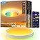 Govee Smart Ceiling Light 4300LM 15 Inch RGBIC LED Ceiling Light Fixture Works with Matter Flush Mount Light Fixture DIY Colors 2700K6500K Dimmable for Bedroom Living Room 1 Pack