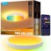 Govee Smart Ceiling Light 4300LM 15 Inch RGBIC LED Ceiling Light Fixture Works with Matter Flush Mount Light Fixture DIY Colors 2700K6500K Dimmable for Bedroom Living Room 1 Pack