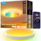 Govee Smart Ceiling Light 4300LM 15 Inch RGBIC LED Ceiling Light Fixture Works with Matter Flush Mount Light Fixture DIY Colors 2700K6500K Dimmable for Bedroom Living Room 1 Pack