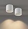 ilucezzo Ceiling Light Fixture Flush Mount Ceiling Lights LED Dimmable Cylinder Ceiling Light Spot Light for Living Room Hallway Kitchen Dining Room Foyer 3000K 145W White 2Pack