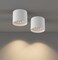 ilucezzo Ceiling Light Fixture Flush Mount Ceiling Lights LED Dimmable Cylinder Ceiling Light Spot Light for Living Room Hallway Kitchen Dining Room Foyer 3000K 145W White 2Pack
