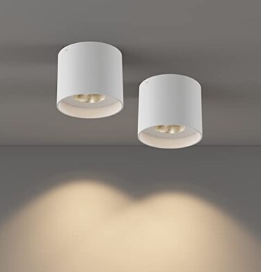 ilucezzo Ceiling Light Fixture Flush Mount Ceiling Lights LED Dimmable Cylinder Ceiling Light Spot Light for Living Room Hallway Kitchen Dining Room Foyer 3000K 145W White 2Pack