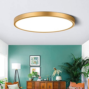 LEDLightsWorld 9 Inch Gold LED Flush Mount Ceiling Light 5000K Daylight White Low Profile LED Ceiling Light 18W 1800LM Round Slim Flat Ceiling Lights Fixture for Closets Bedroom Hallway Stairwells Por
