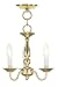 Livex Lighting 500902 Williamsburgh 3Light Convertible Hanging LanternCeiling Mount Polished Brass