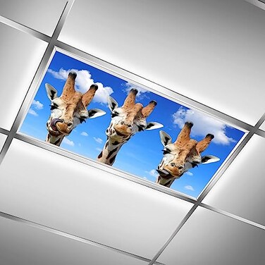 FALE QTUOM 2 Pcs Fluorescent Light Cover for Classroom Funny Giraffe Magnetic Fluorescent Light Covers Ceiling Light Covers Shade Panel Coverings for Office Classroom Home Drop Ceiling 4 X 2 Feet