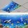 FALE QTUOM 2 pcs Sea Life World Fluorescent Light Cover for Classroom Magnetic Fluorescent Light Cover for Office Classroom Home Ceiling 4 X 2 feet