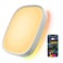 Govee Smart Ceiling Light RGBIC LED Square Ceiling Light Fixture Works with Matter 2400LM Flush Mount Light Fixture DIY Colors 2700K6500K Dimmable for Bedroom Living Room 12 Inch 1 Pack